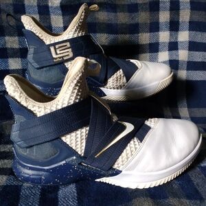Lebron Soldier XII SFG Shoes